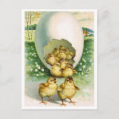 Briefkaart (Voorkant)