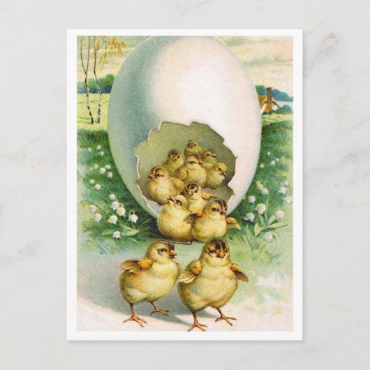 Briefkaart (Voorkant)