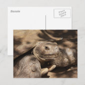 Briefkaart (Voorkant / Achterkant)