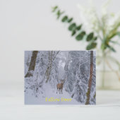 Briefkaart (Staand voorkant)