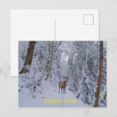 Briefkaart (Voorkant / Achterkant)