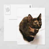 Briefkaart (Voorkant / Achterkant)