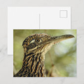 Briefkaart (Voorkant / Achterkant)