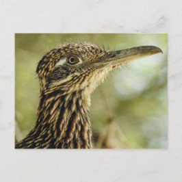 Briefkaart