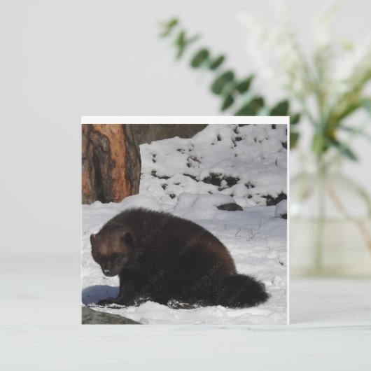 Briefkaart (Staand voorkant)