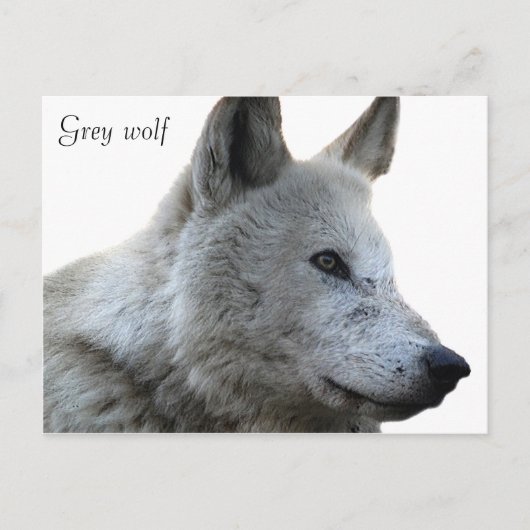 Briefkaart (Voorkant)
