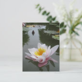 Briefkaart (Staand voorkant)