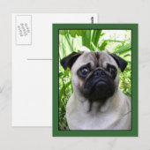 Briefkaart (Voorkant / Achterkant)