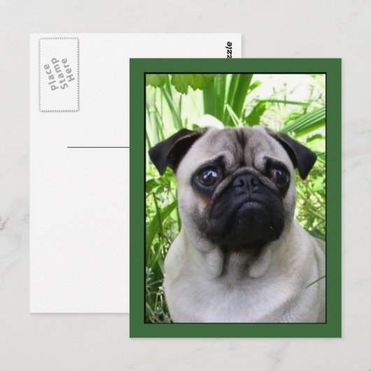 Briefkaart (Voorkant / Achterkant)