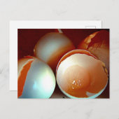 Briefkaart (Voorkant / Achterkant)