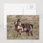  BRIEFKAART (Voorkant / Achterkant)