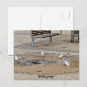 Briefkaart (Voorkant / Achterkant)