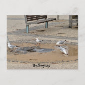 Briefkaart (Voorkant)