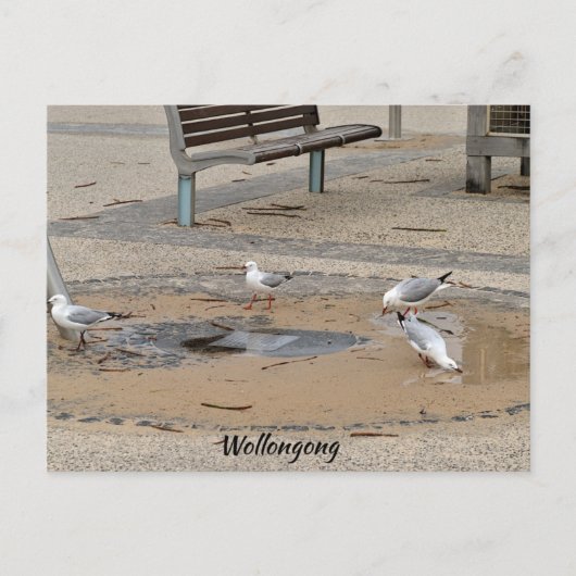 Briefkaart (Voorkant)