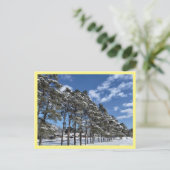 Briefkaart (Staand voorkant)