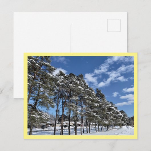 Briefkaart (Voorkant / Achterkant)