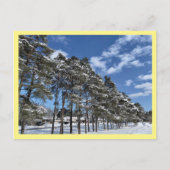 Briefkaart (Voorkant)