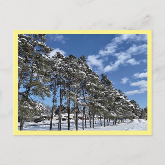 Briefkaart (Voorkant)