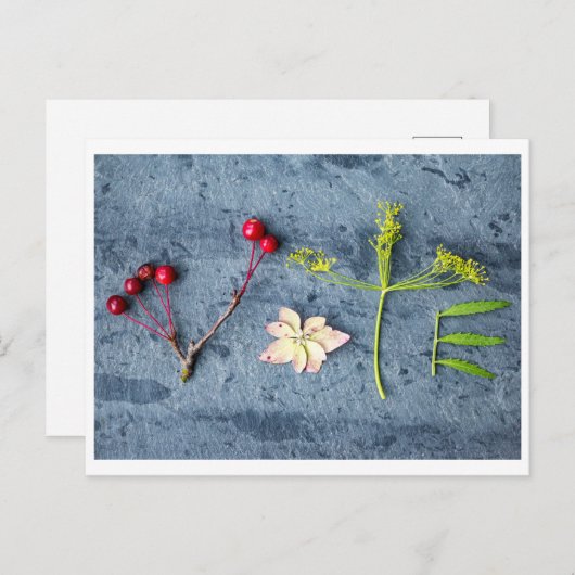 Briefkaart (Voorkant / Achterkant)