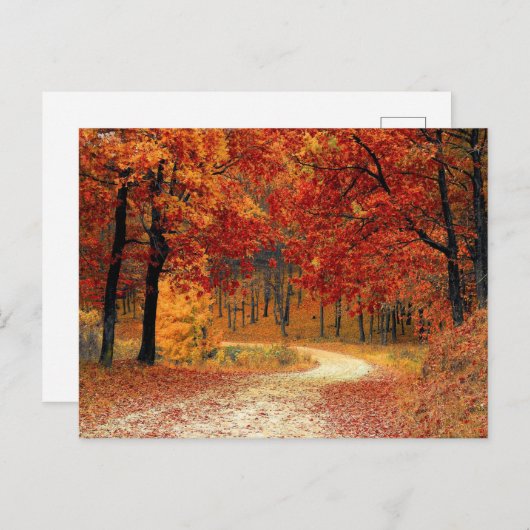  briefkaart (Voorkant / Achterkant)