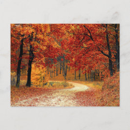  briefkaart