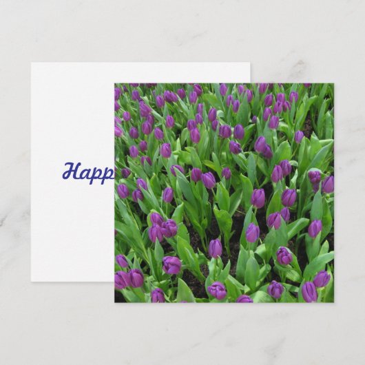 Briefkaart (Voorkant / Achterkant)