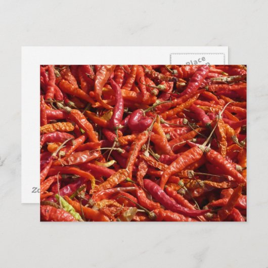 Briefkaart (Voorkant / Achterkant)