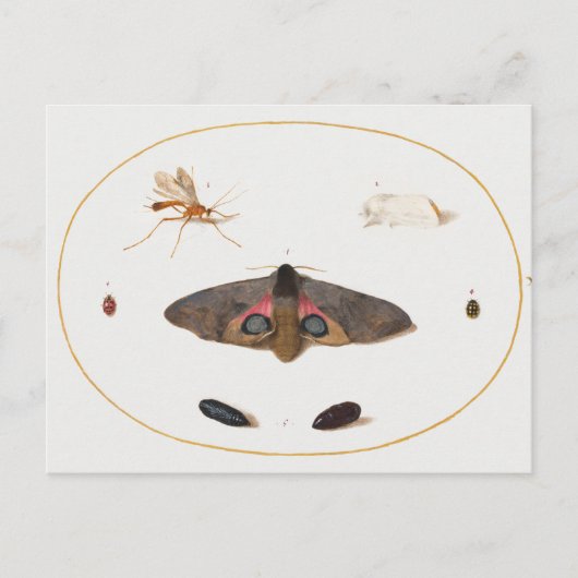 Briefkaart (Voorkant)