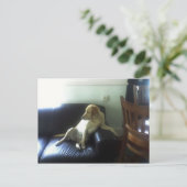  BRIEFKAART (Staand voorkant)