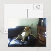  BRIEFKAART (Voorkant / Achterkant)