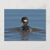 Briefkaart (Voorkant)