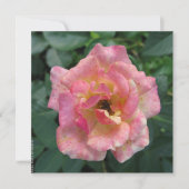 Briefkaart (Voorkant)