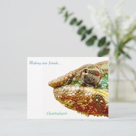 Briefkaart (Staand voorkant)