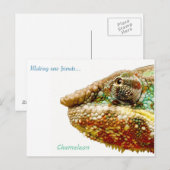 Briefkaart (Voorkant / Achterkant)