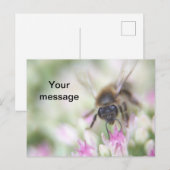 Briefkaart (Voorkant / Achterkant)