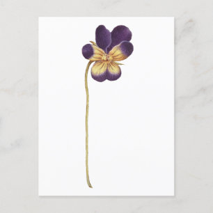 Briefkaart