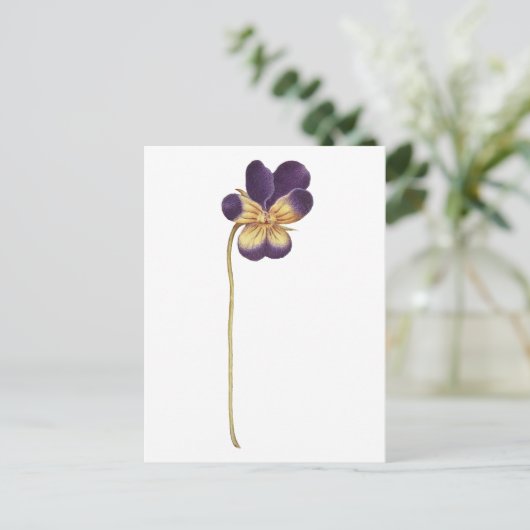Briefkaart (Staand voorkant)