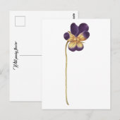 Briefkaart (Voorkant / Achterkant)