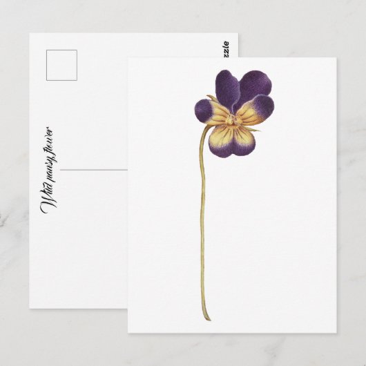 Briefkaart (Voorkant / Achterkant)