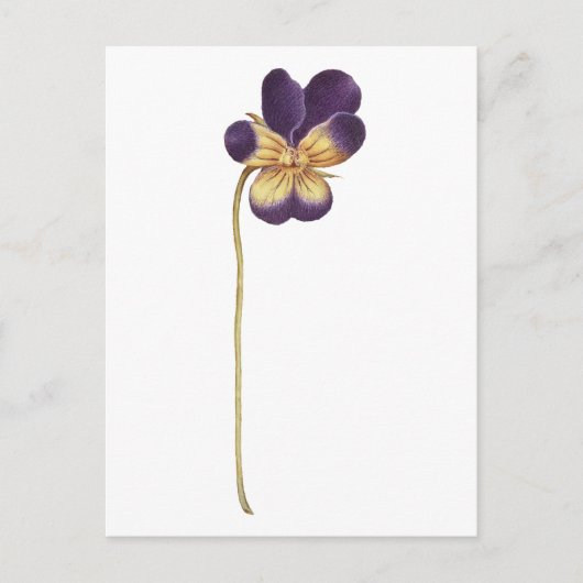 Briefkaart (Voorkant)