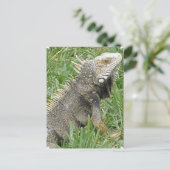 Briefkaart (Staand voorkant)