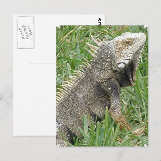 Briefkaart (Voorkant / Achterkant)