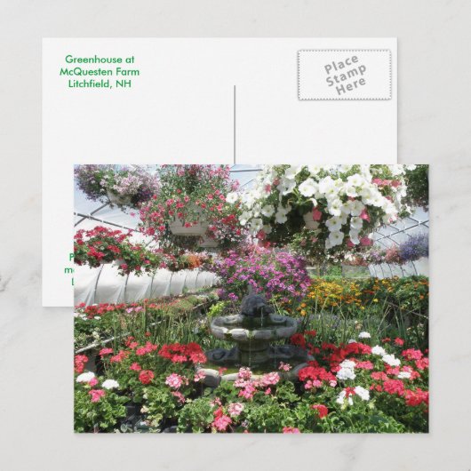 Briefkaart (Voorkant / Achterkant)