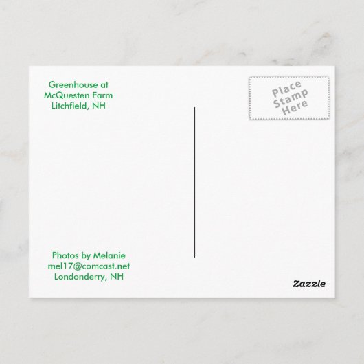 Briefkaart (Achterkant)