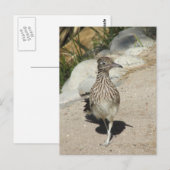 Briefkaart (Voorkant / Achterkant)