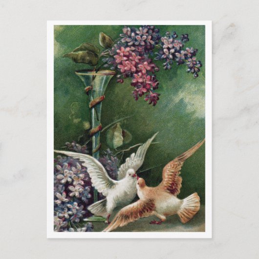 Briefkaart (Voorkant)