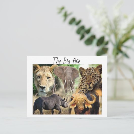 Briefkaart (Staand voorkant)