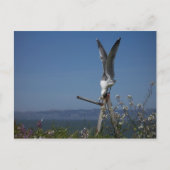 Briefkaart (Voorkant)