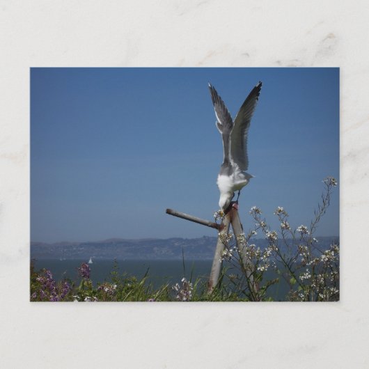 Briefkaart (Voorkant)