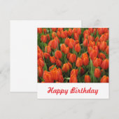 Briefkaart (Voorkant / Achterkant)